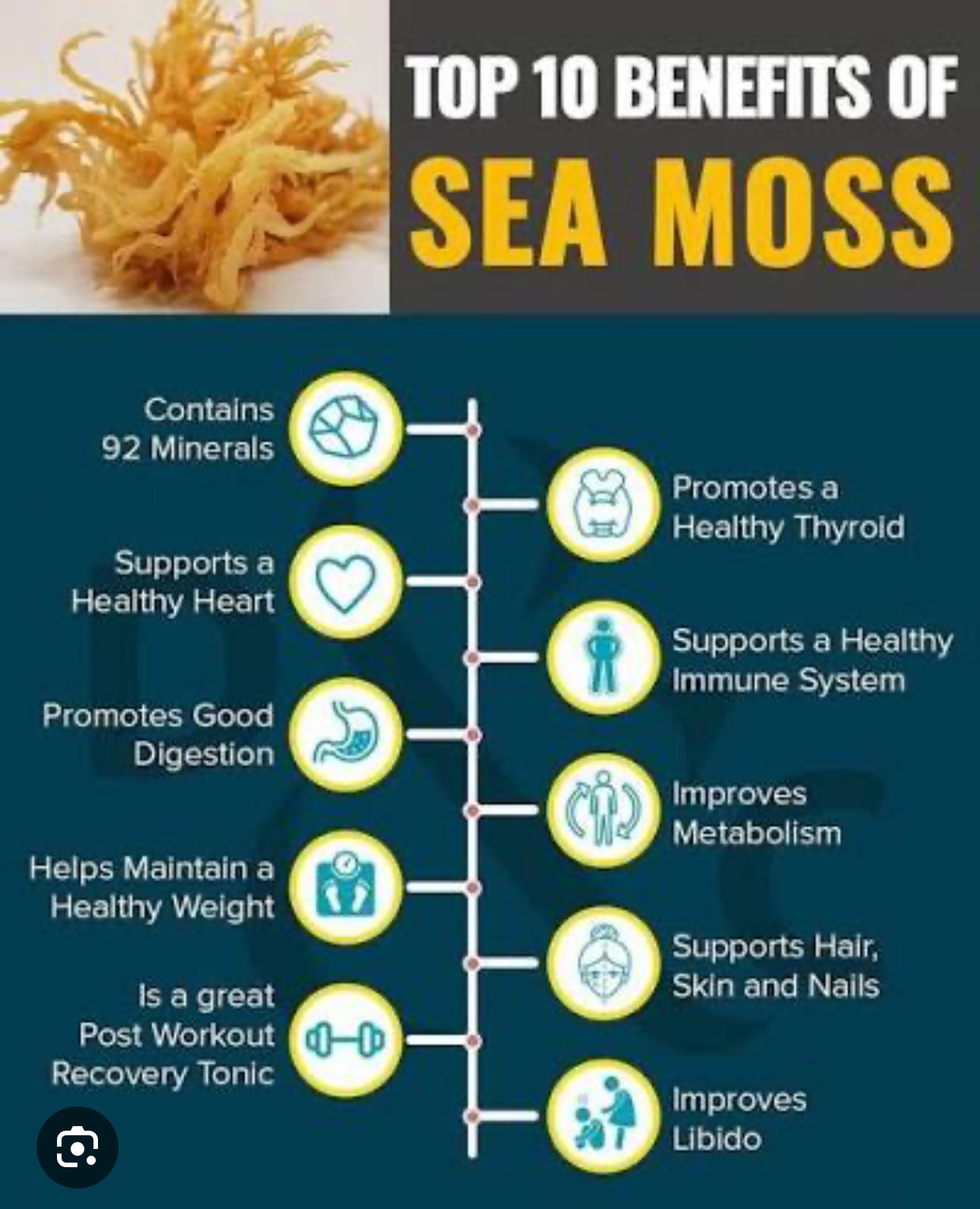 Sea Moss Gel 8oz.
