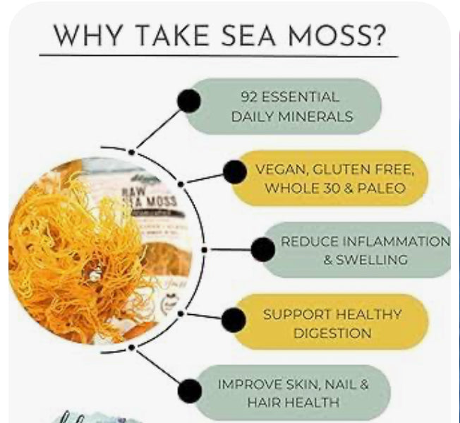 Purple Sea Moss Freeze Dried