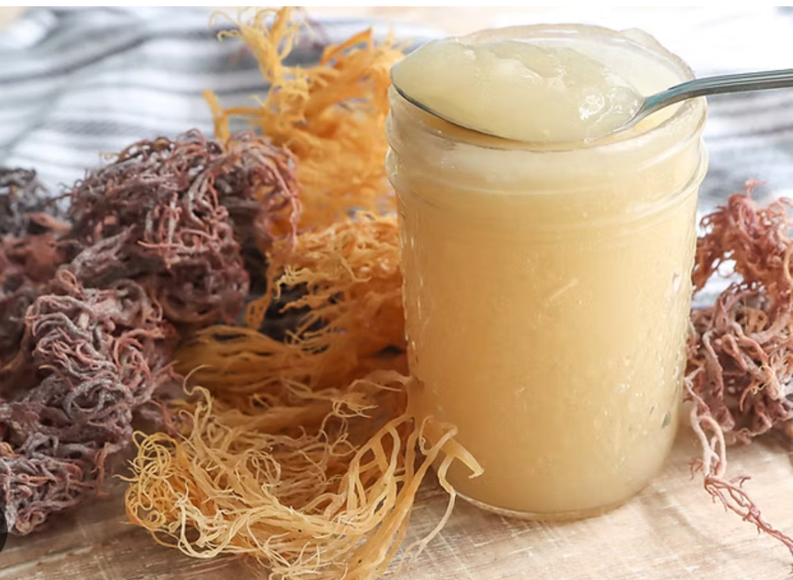 Irish Golden Sea Moss Dried