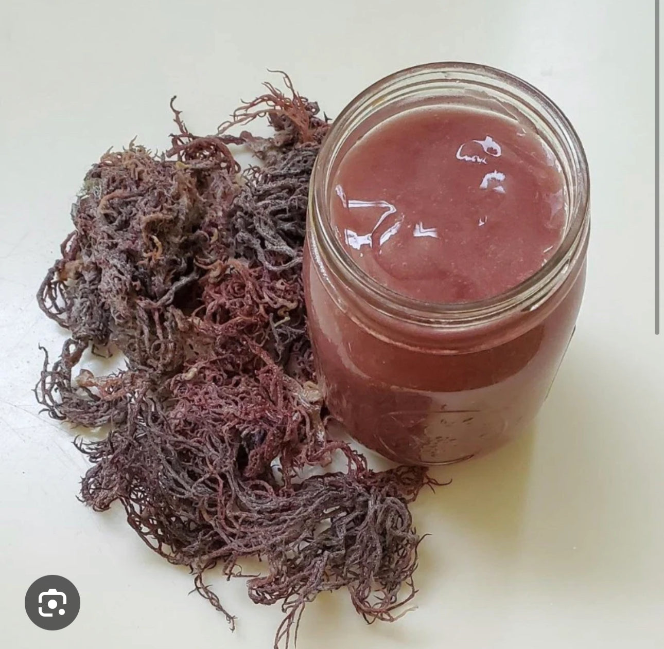 Purple Sea Moss Dried