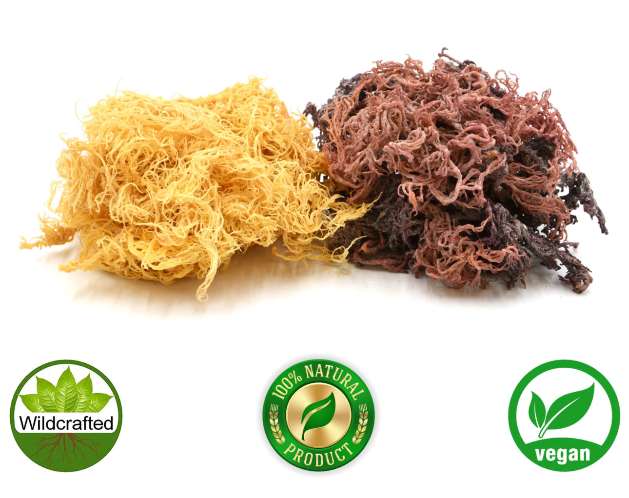 Irish Golden Sea Moss Dried